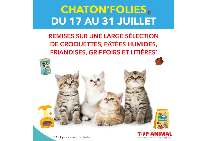 CHATON'FOLIES DU 17 AU 31 JUILLET !
